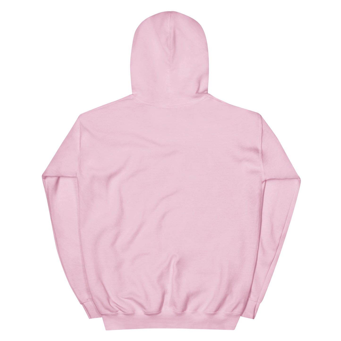 RAKOON CLASSIC HOODIE